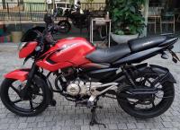 135 pulser LS. 2014